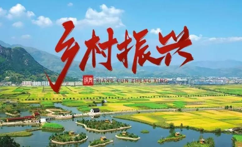 领导为什么喊你去驻村
