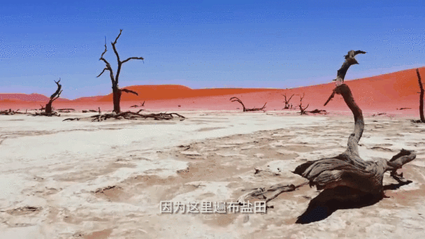 沙漠的十大危险事件截图1