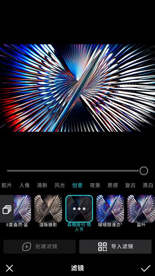 泼辣修图怎么导入滤镜截图1
