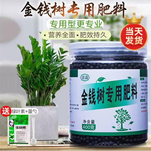 金钱树需要什么肥料