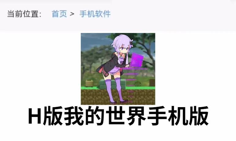 我的界H版0.28.1汉化版截图1