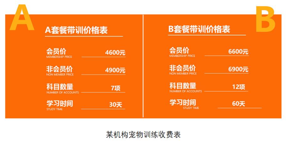 狗狗训练学校费用