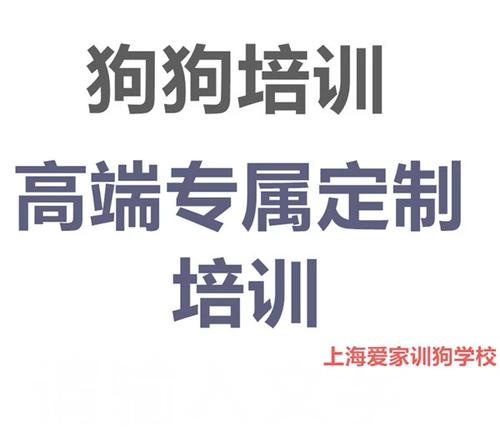 狗狗训练学校费用截图2