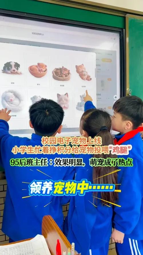 狗狗训练学校费用截图3