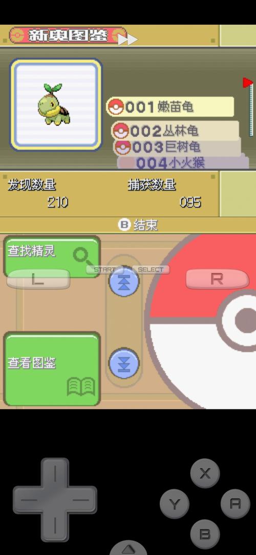 口袋妖怪白金道馆顺序