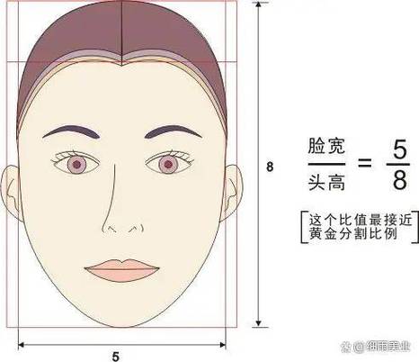 脸长宽比例多少最好