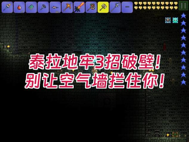 泰拉瑞亚地牢墙