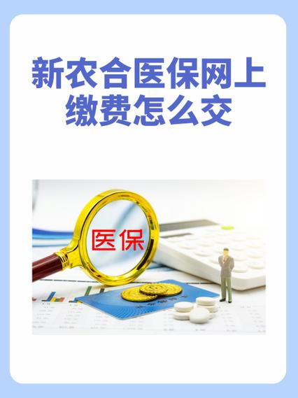 新农合缴费网上缴费