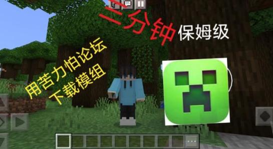 “苦力怕论坛”