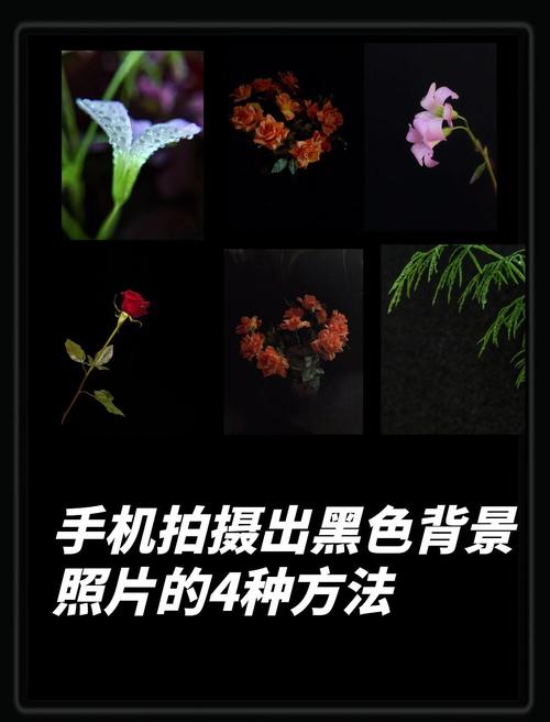 苹果手机在黑暗中怎么拍照