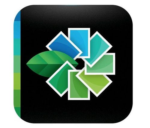 snapseed哪个版本好用