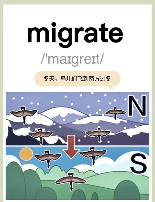 migaworld英文版截图1
