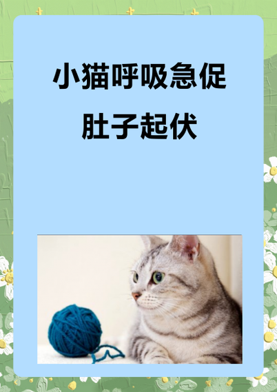 猫咪喘气很急促是什么原因