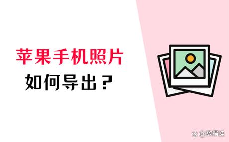 苹果相册回忆怎么导出