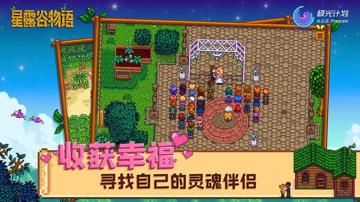 星露谷物语中文无限金币版
