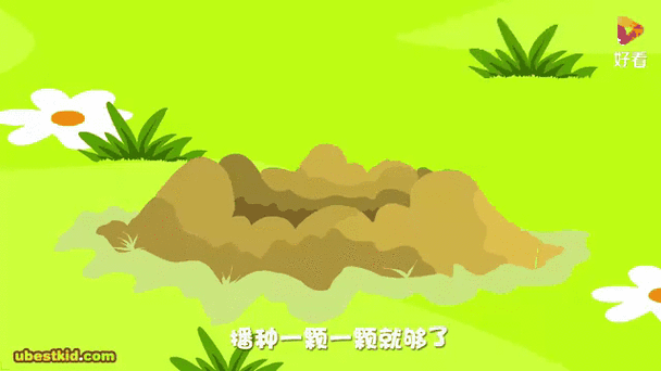 种太阳贝乐虎儿歌