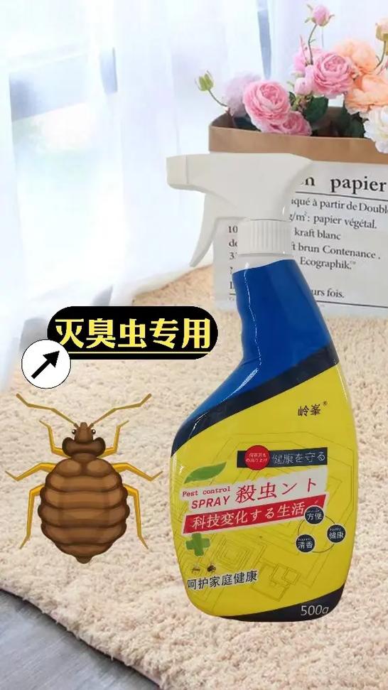怎样灭臭虫有效又安全