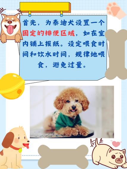 狗狗大小便的训练方法截图3