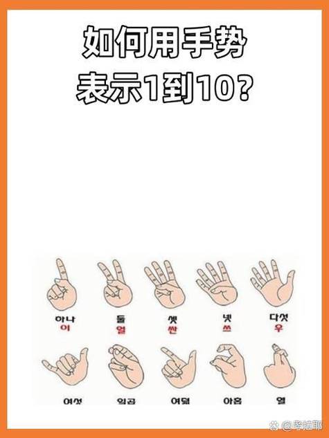 手势比划一到十截图2