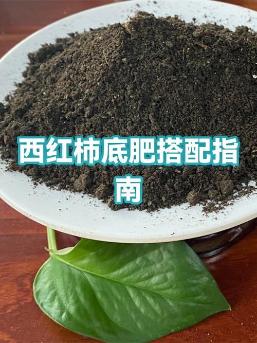 西红柿用什么肥