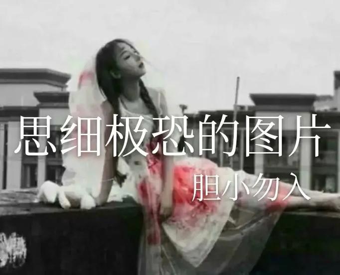 极思恐极和细思恐极区别