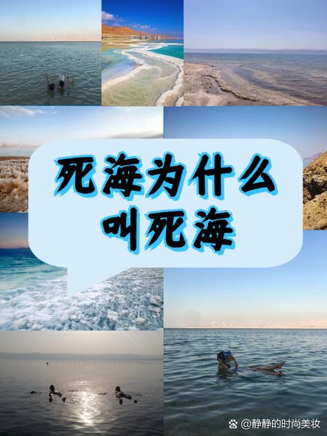 thiswarofmine游戏