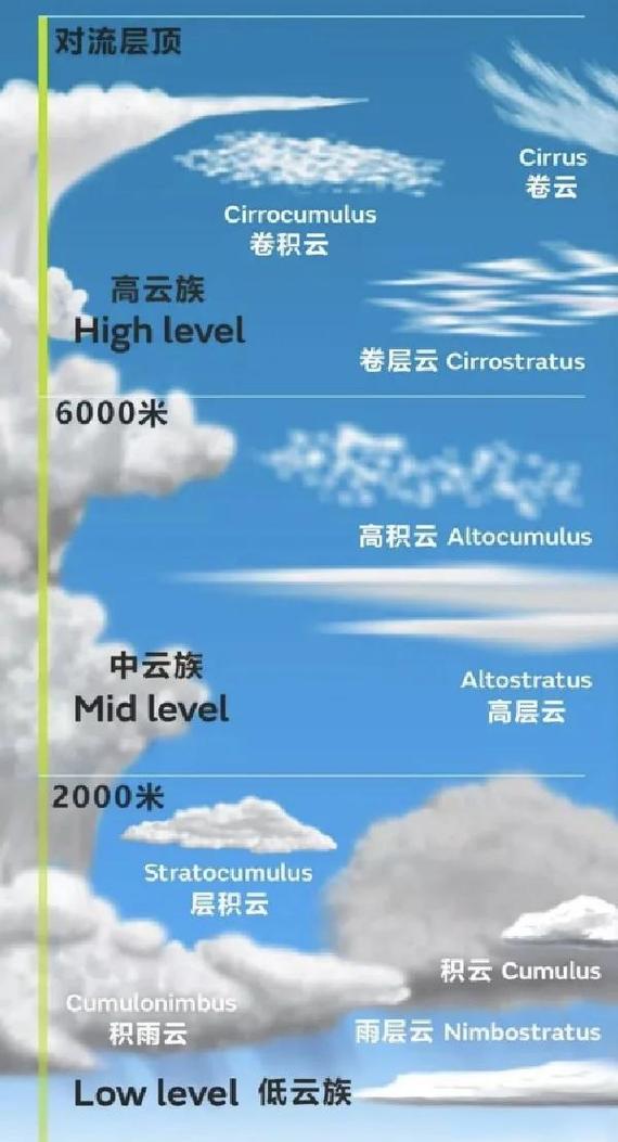 解说天云多大了