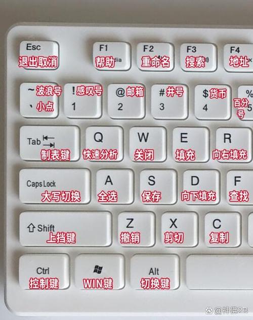 键盘锁住了f1一直闪烁