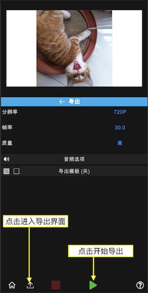 NodeVideo免费版永久会员下载截图2