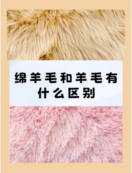 绵羊毛和羊毛的区别是什么?