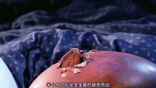 如何获取龙蛋