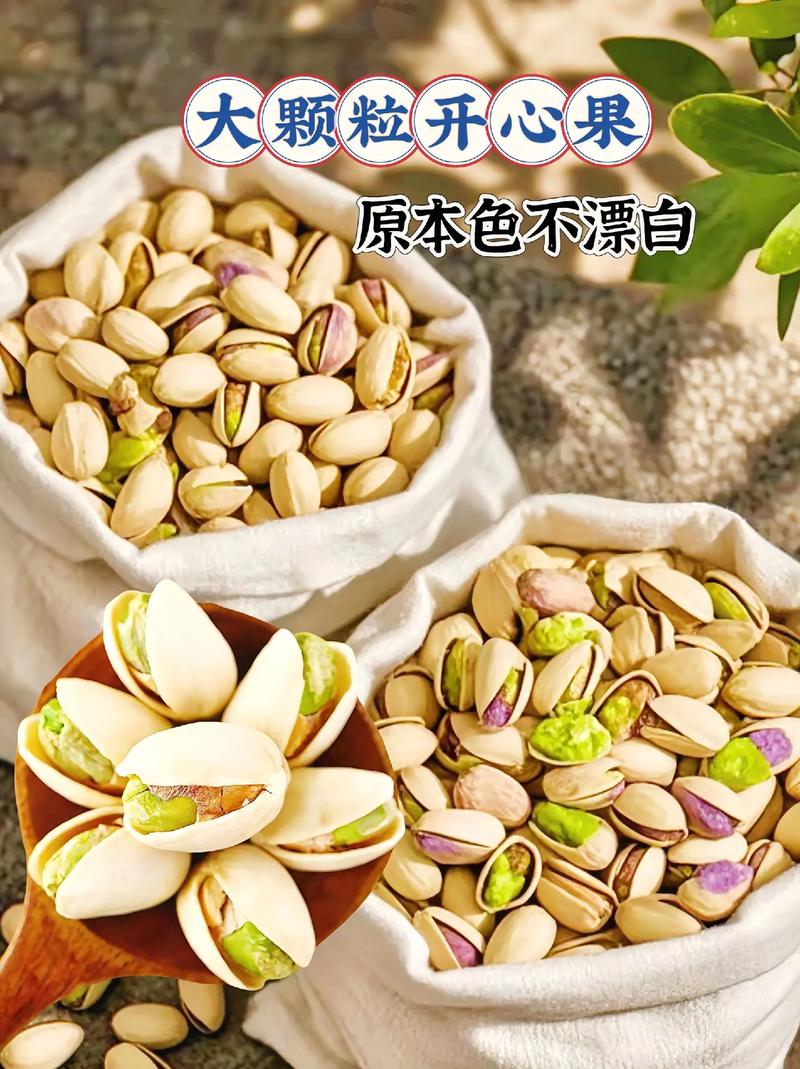 开心果几月份成熟采摘截图3