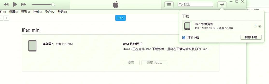 ipad刷机写入文件失败