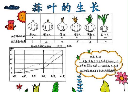 蒜苗的生长过程观察记录表截图1