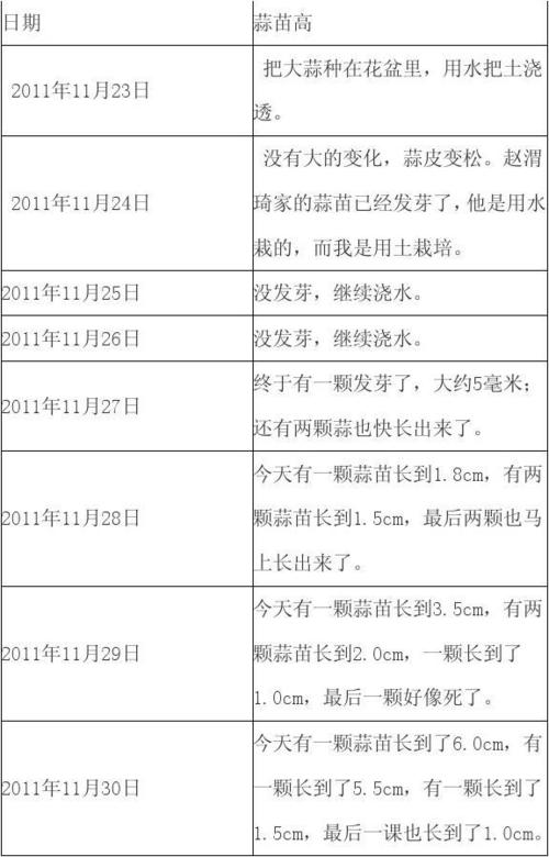 蒜苗的生长过程观察记录表截图2