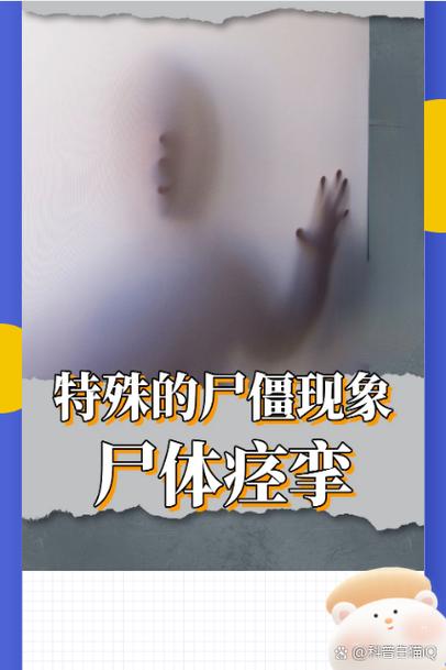 转移之人正确解释截图3