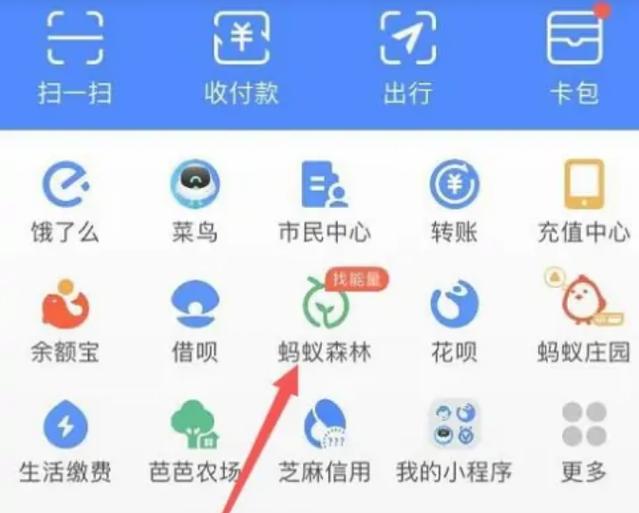 蚂蚁森林怎样不让别人收取能量