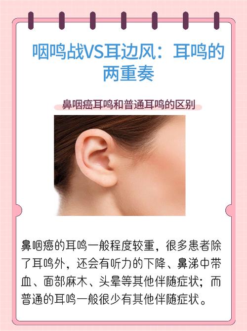风吹耳鸣是什么原因引起的