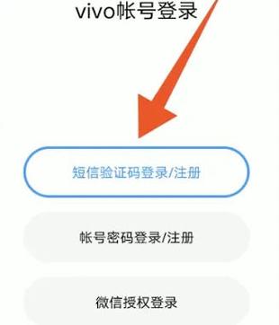 vivo账号验证怎么开启