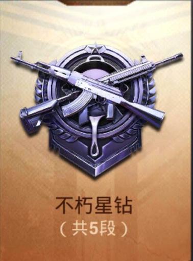 “和平精英”是什么意思截图2