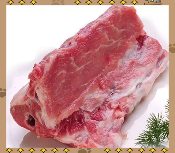 龙骨真实图片
