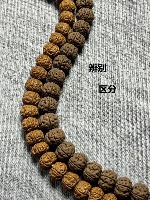 小金刚正确盘玩方法