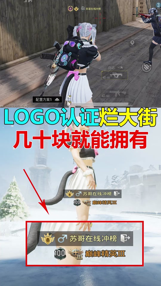 和平精英粉丝logo怎么获得截图2