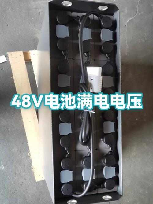 48v充满电显示多少伏
