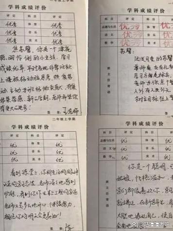 高三综合素质评价自我陈述300字