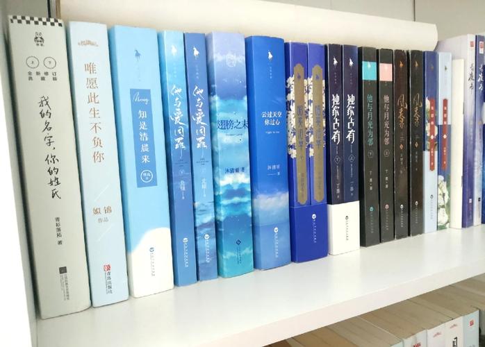 晨阅小说网截图3