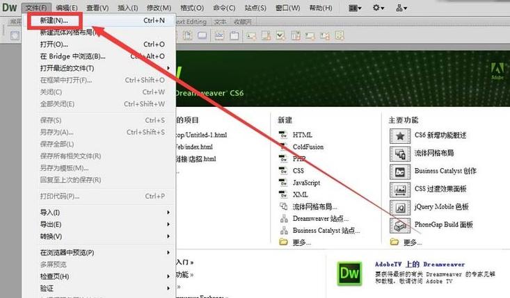 dw项目列表怎么设置