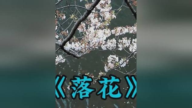 落花mp3下载