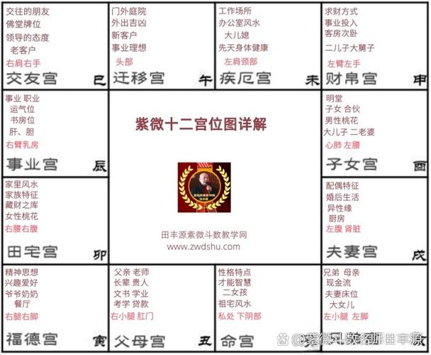紫微命盘免费版