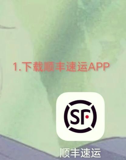 输入运单号查询顺丰截图3